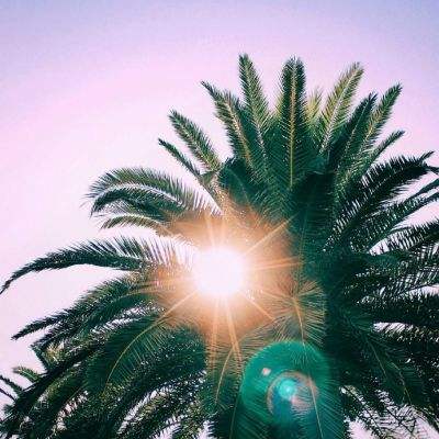 永乐国际下载手机版截图