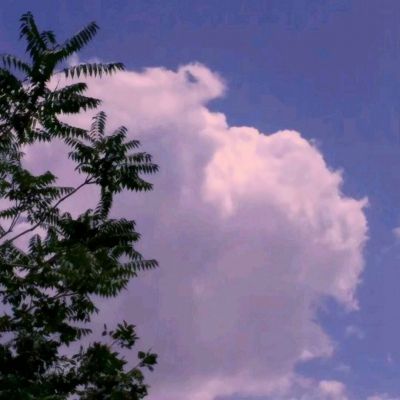 永乐国际下载手机版截图